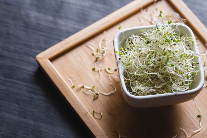 alfalfa-sprouts-ingredient
