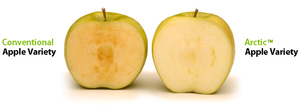 arctic vs conventional apple