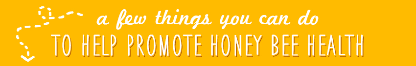 A few things you can do to help promote honey bee health graphic