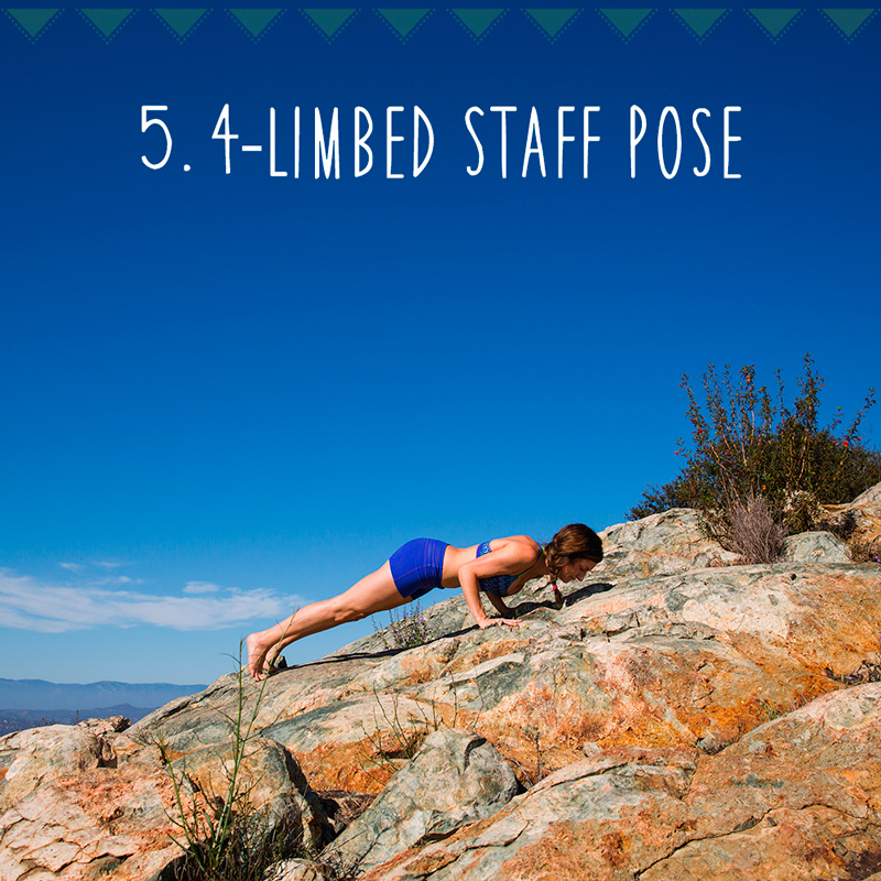 5. 4-Limbed Staff Pose