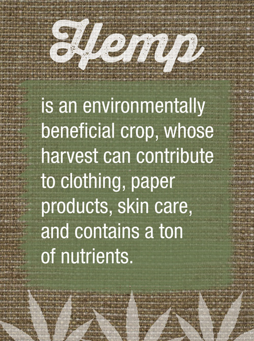 an environmentally beneficial crop, whose harvest can contribute to clothing, paper products, skin care, and contains a ton of nutrients.
