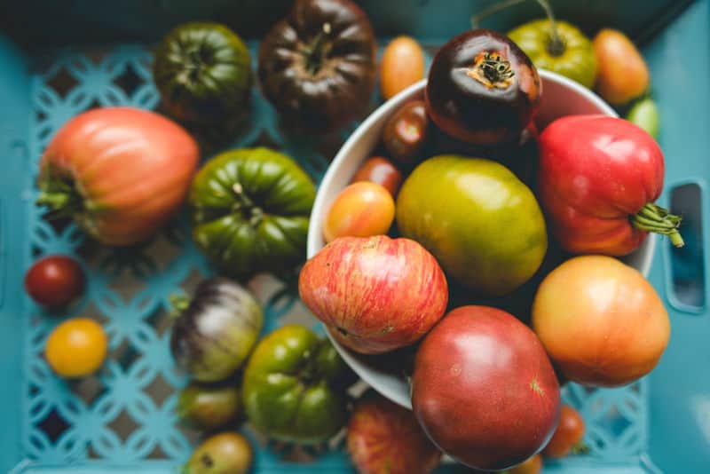 Heirloom tomatoes for plant-based diet