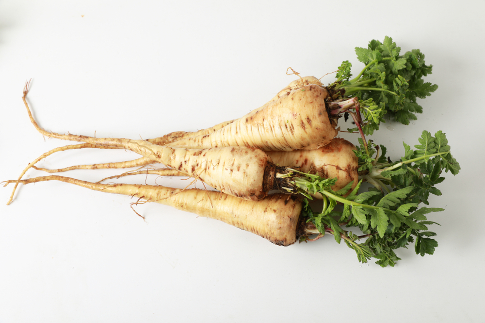 fall produce parsnips