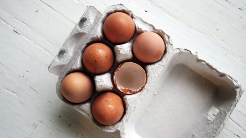 egg-protein-source-healthy